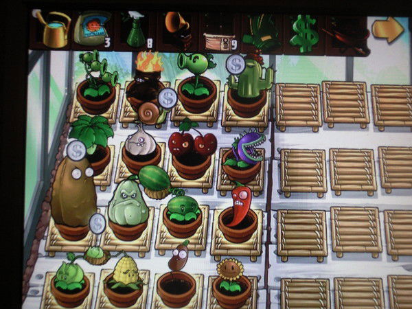 Вячеслав Орловский