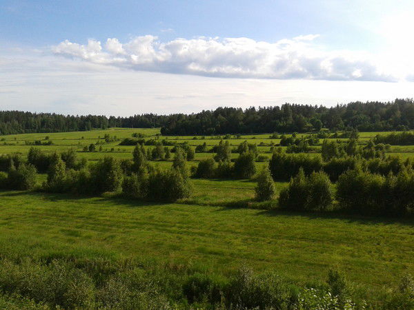 Алексей Дибров