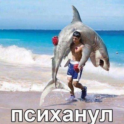 Саша Жерновой