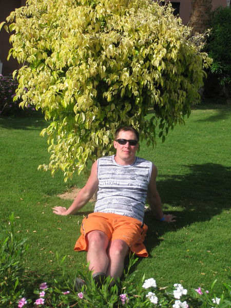 Евгений Сеткин