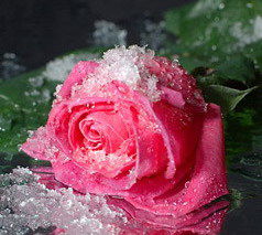 Эльвира Шамеева