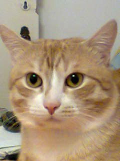 Валерия Сазонова