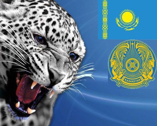 Сапаралиев Бекбол