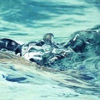 Светлана Коваленкова