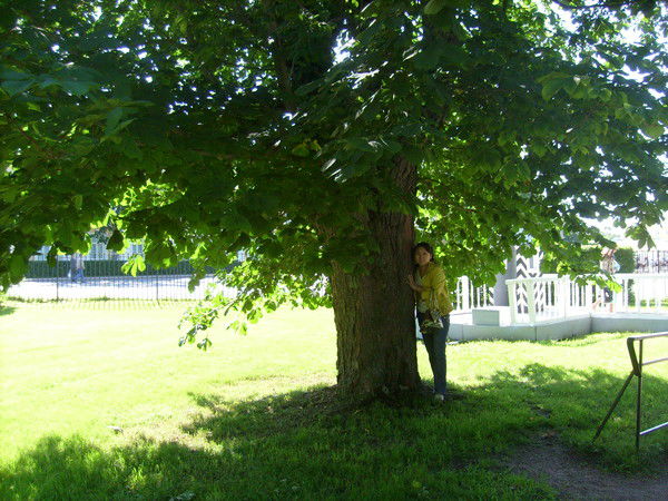 Мария Сивцева