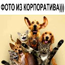 X K