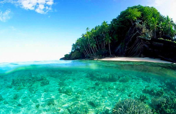 Наталья Митякина