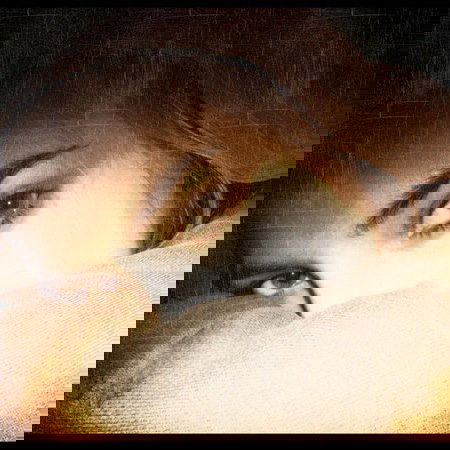 Любите Жизнь