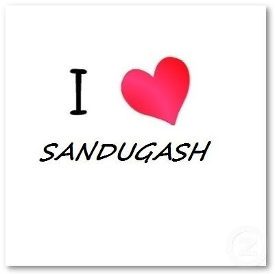 Шынгыс Абишев