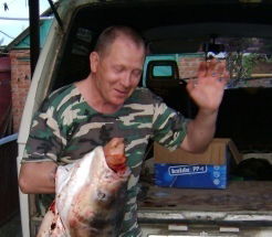 Геннадий Набока