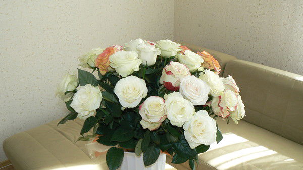 Ксения Сараева