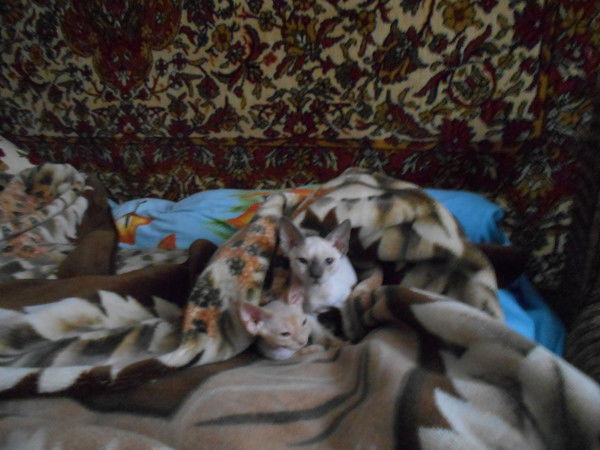 Grigoriy Петров