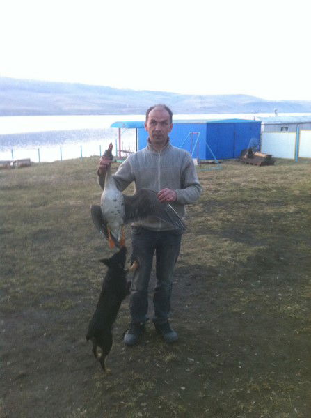 Григорий Шевченко