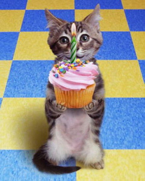 Юлия Иванова