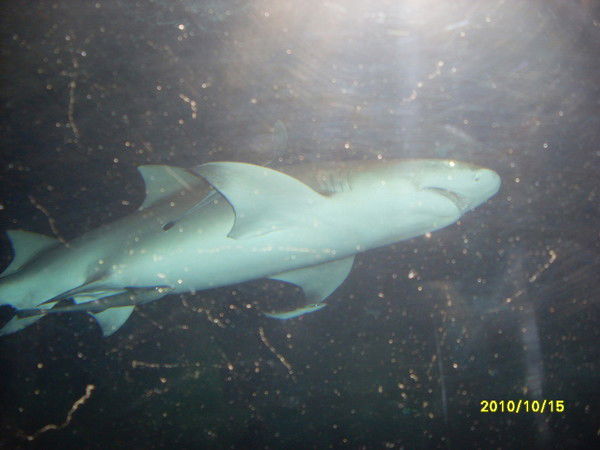 Амангали Бегенов