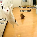 Витя Витя