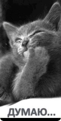 Николай Иванов