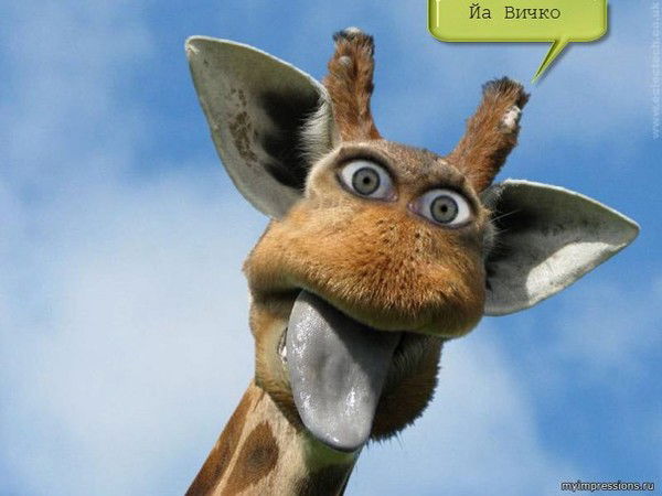 Анна Житникова