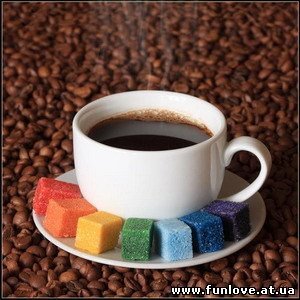 Наташа Демешко