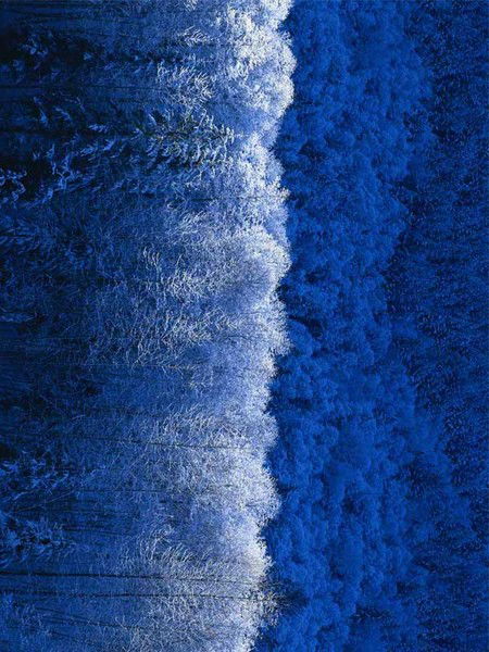 Петр Морозов