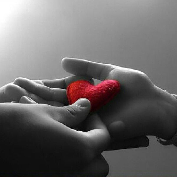 Елена Елена