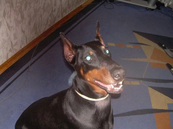 Николай Сазонов