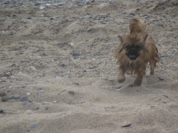 Татьяна Роганова