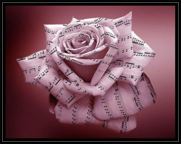 Полина Пикта