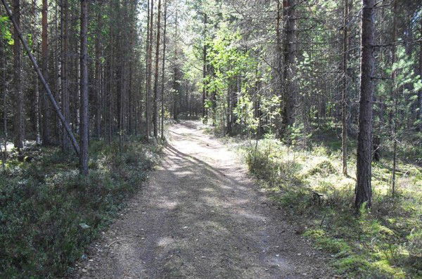 Гирвас Школа