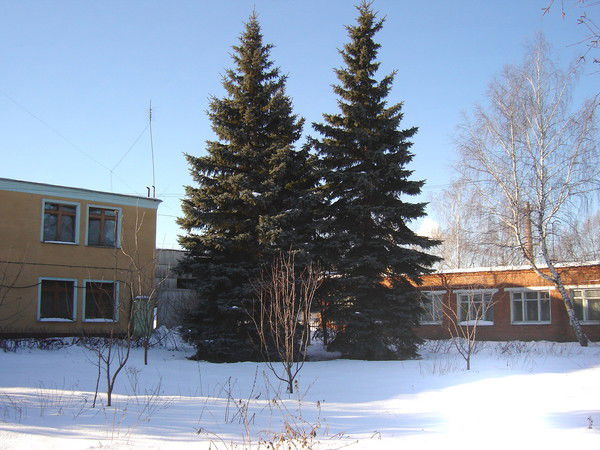 Алексей Кириллов