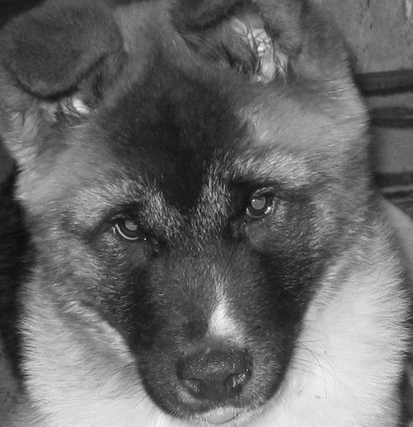 Юлия Ковалева