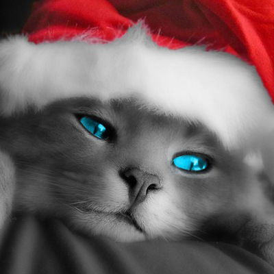 Яна Ковершина