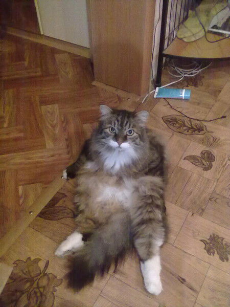 Джон Красный Пачаток