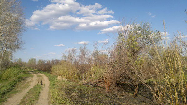 Евгений Передери