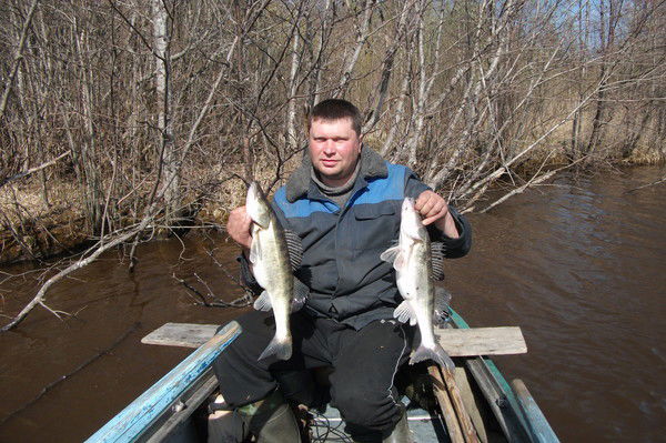 Станислав Папушин