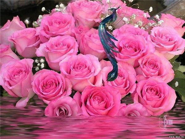 Valentina Marcinkevicene