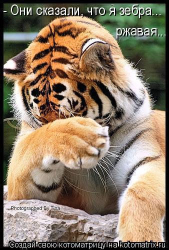 Зиля Хабибуллина