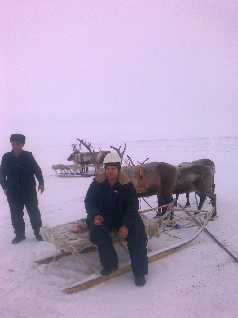 Дмитрий Алемчук