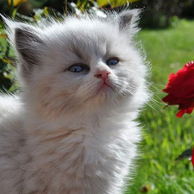 Наташа Васильева