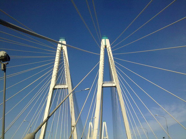 Юлия Борисова