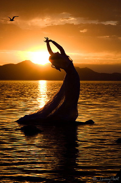 София Редина