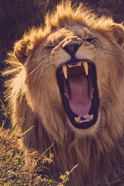 Ирина Ромадинова