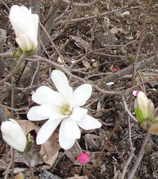 Екатерина Шумилова