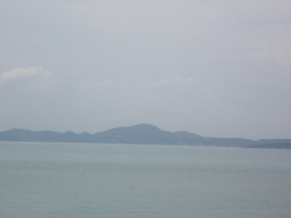 Елена Тимченко