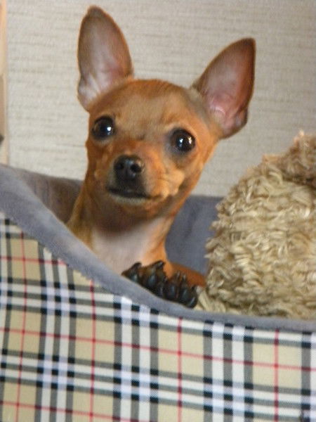 Наталья Ярова