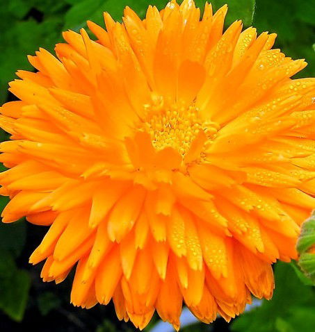 Юлия Маркетинг