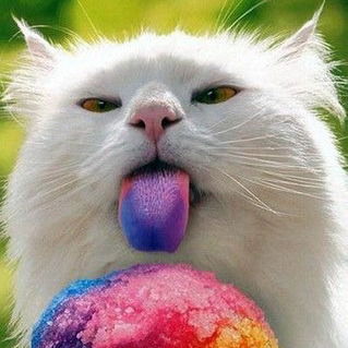 Александр Боц