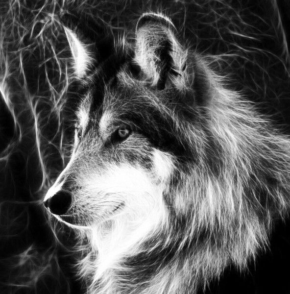 Анастасия Шурыгина