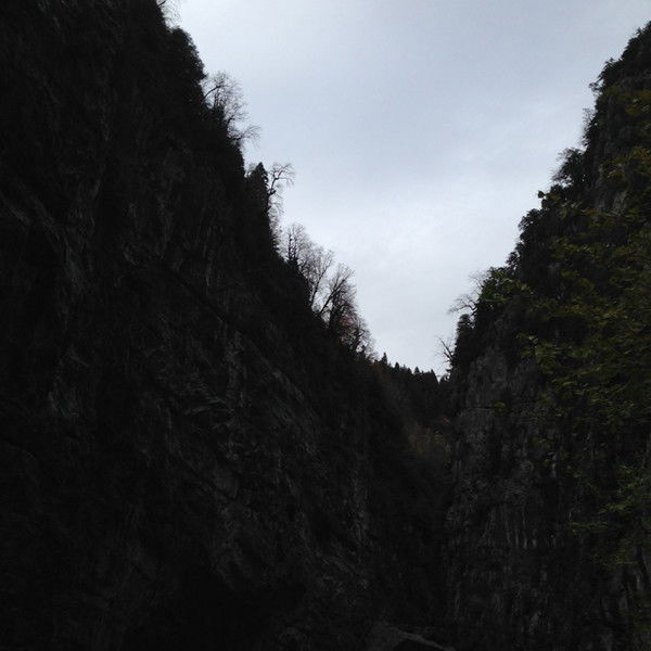 Диля Измайлова