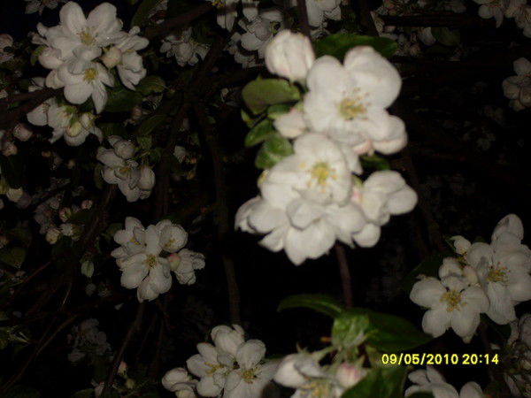 Наташа Ксензова